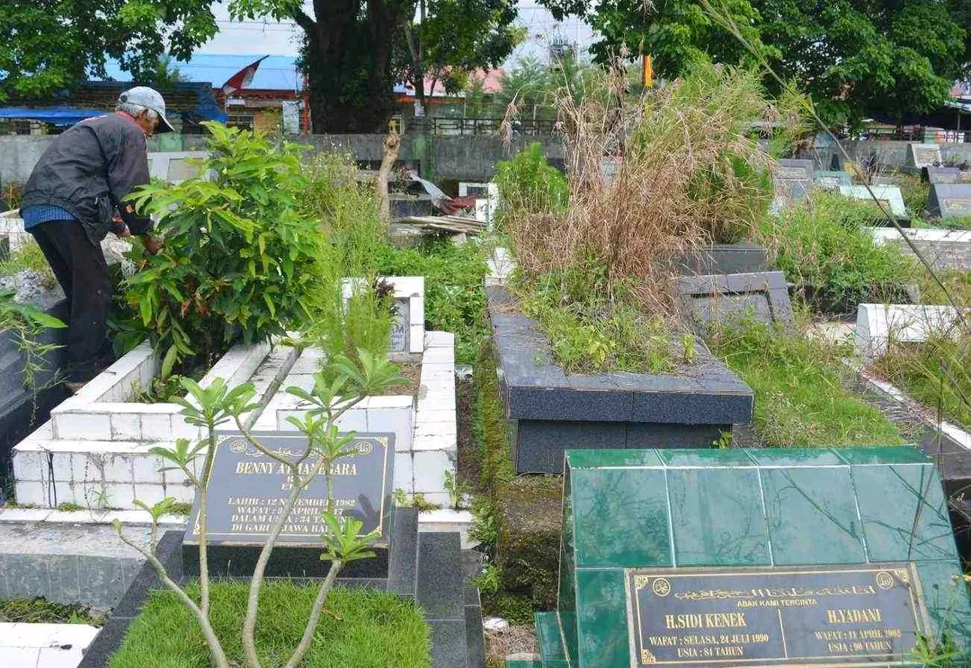 https://padang.go.id/images/8LfRzAo9KK17XlTFfYajGRyD5fq5s2LhVBrlz0CL.jpg