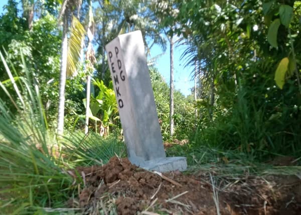 https://padang.go.id/images/Naa6wGlDNN9bFMfqyvkcuuVeZxGx9jgoMOqQplsC.jpg