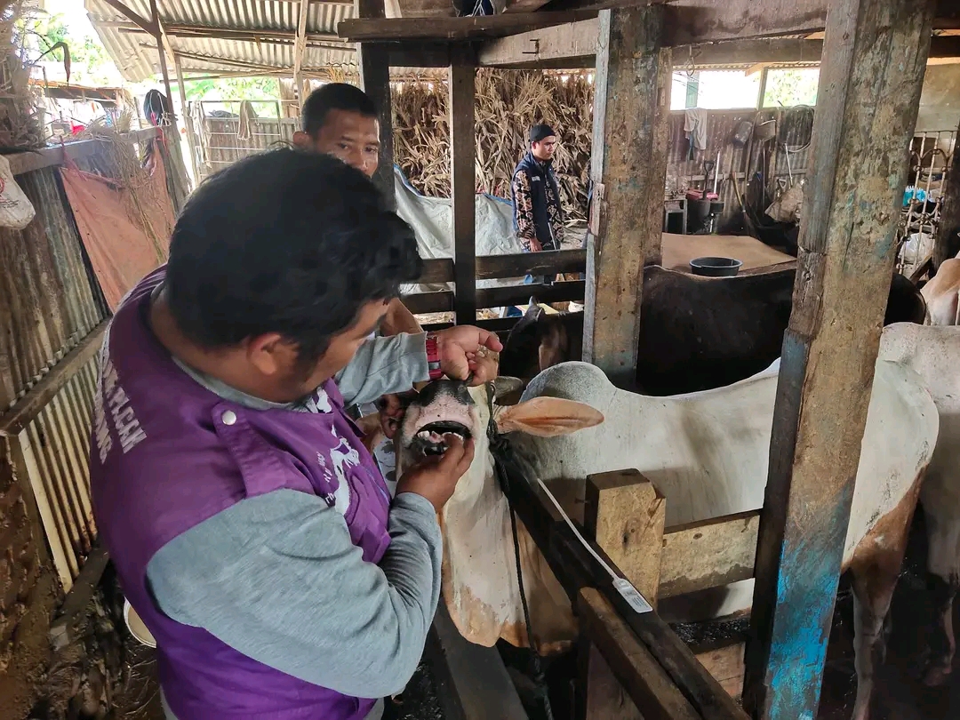 https://padang.go.id/images/Nd6nKg5vWeZFklnGAtvn0u0JTAZ8GsaZgRUuRNSf.jpg