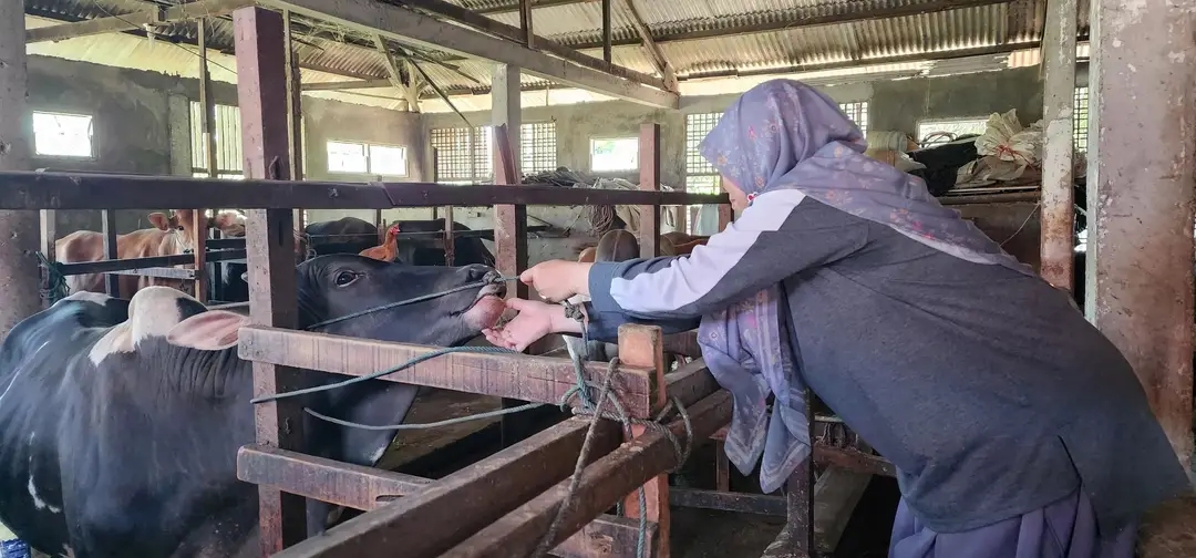 https://padang.go.id/images/POGjI3zrHvKuAisNTSGoFPg6bqgaBbND4Qnv4c5w.jpg
