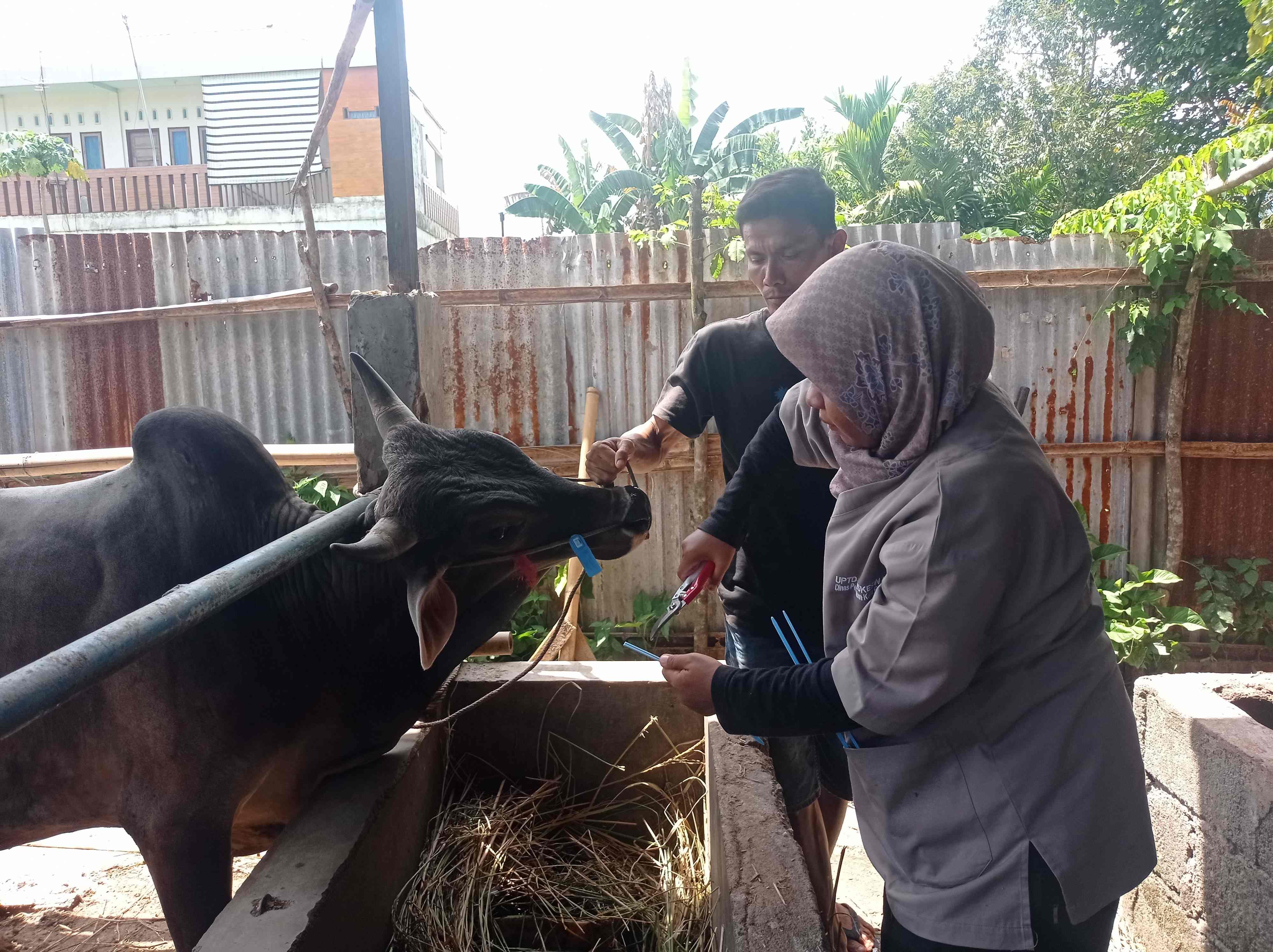 https://padang.go.id/images/YyCPDgB40TgMSDhdcKIXv1E4IlUIQMCiFRZEmJ4w.jpg